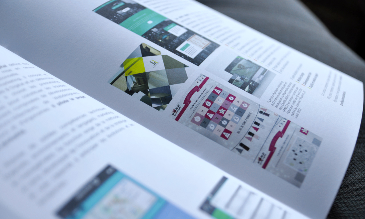 Direction artistique et conception des brochures d'EFFICOM Lille